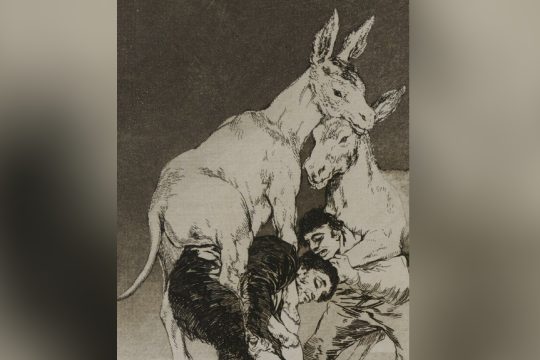 gogia-xaraktiki