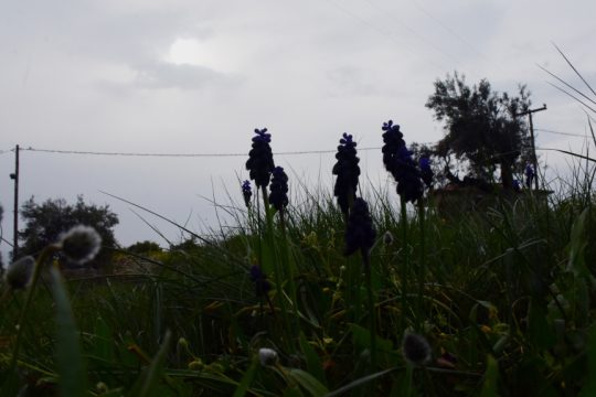 καιρός σκόνη