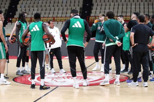 pao-basket
