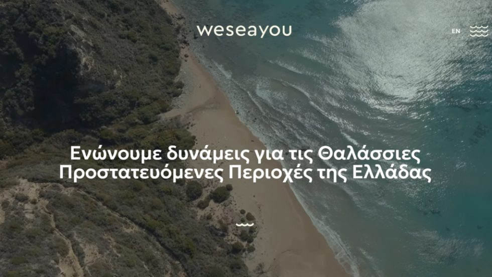 weseayou