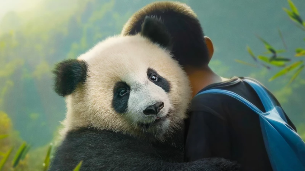 Moon the Panda