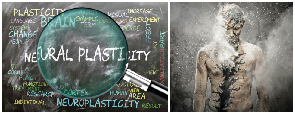 Neural plasticity