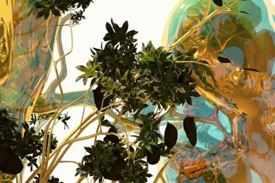 PHYTOBIOSOMES
