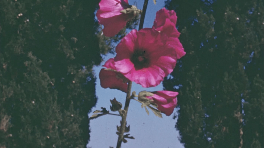 TFSSW_Still