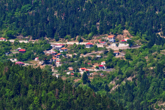 Χωριό σε δάσος