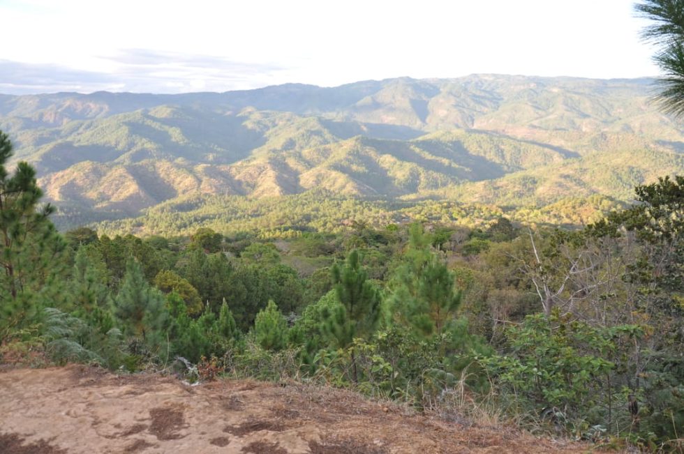 el salvador