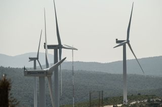 anemogennitries