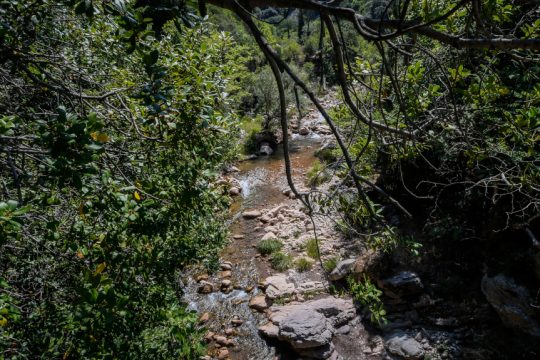 Νέδα Ποτάμι