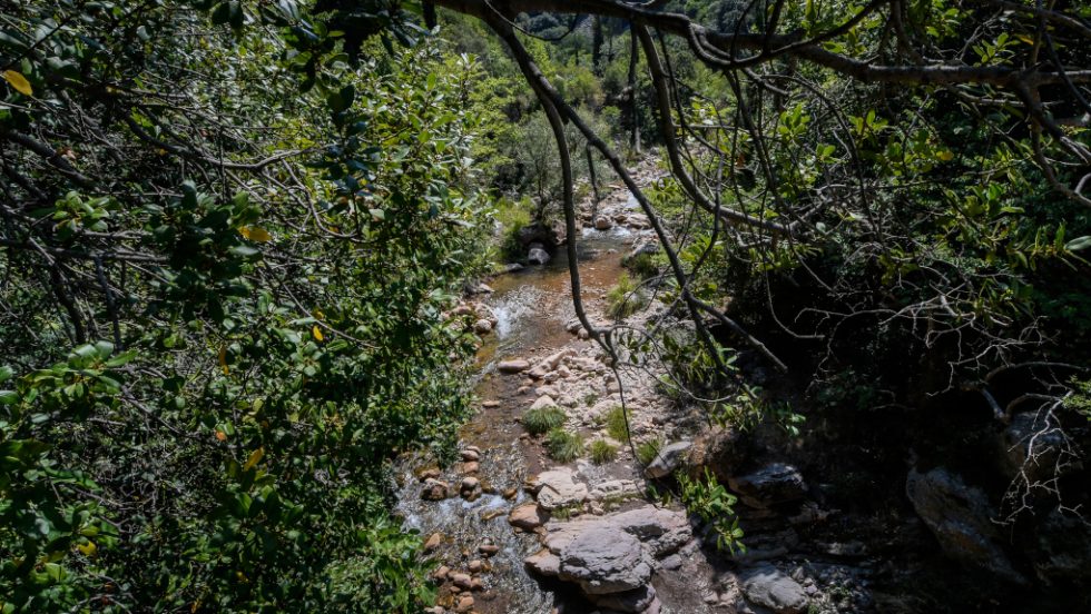 Νέδα Ποτάμι
