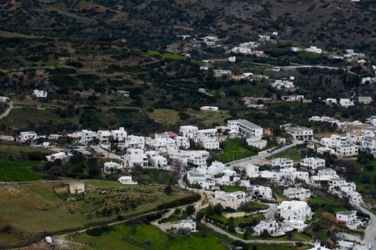 oikopeda