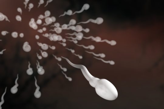 sperm