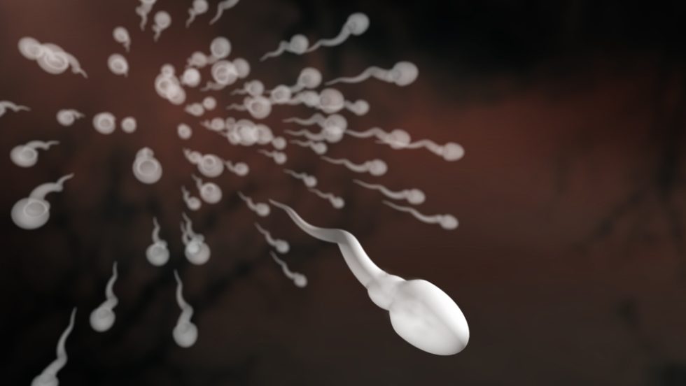 sperm