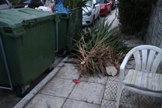 Βρέφος Άλιμος