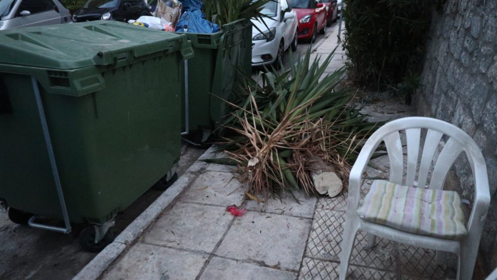 Βρέφος Άλιμος
