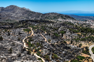 Καμένες εκτάσεις στη Χίο
