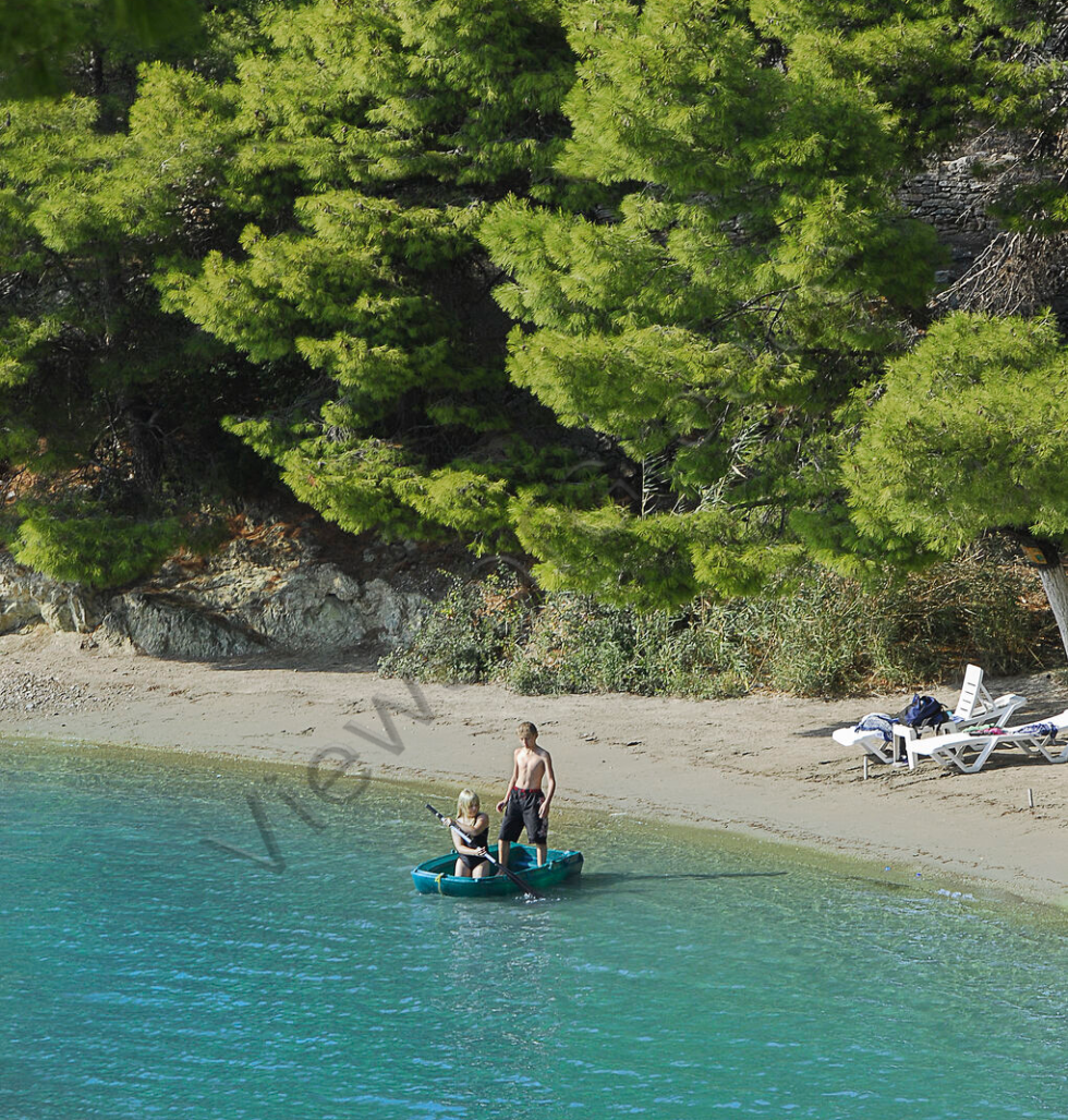 Στις περισσότερες ακτές του νησιού τα πεύκα φτάνουν ώς τη θάλασσα