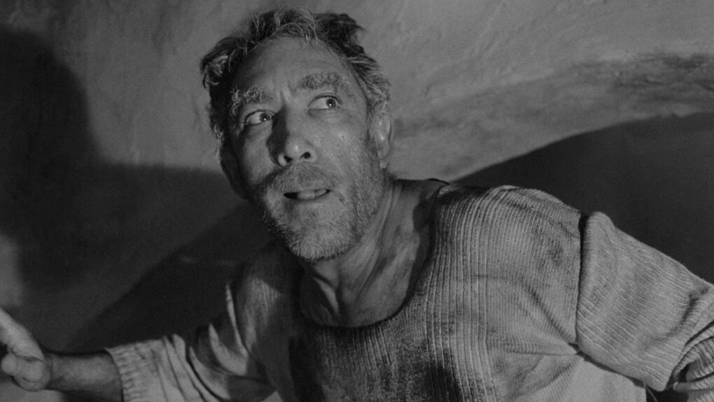 zorba