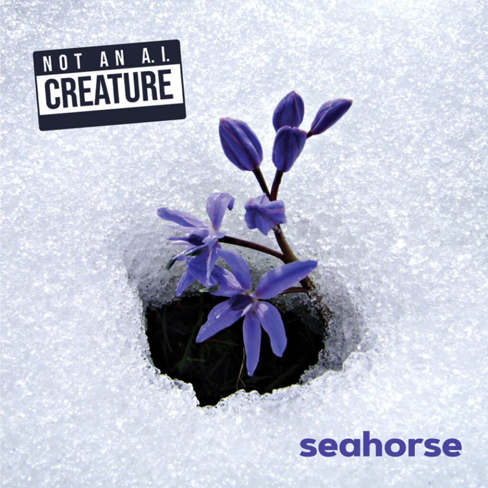 SEAHORSE