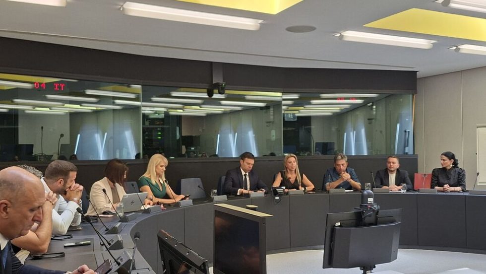 renew europe - kaselakis - sygeneis
