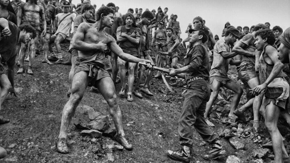 Σεμπαστιάο Σαλγκάδο, «Το αλάτι της γης»