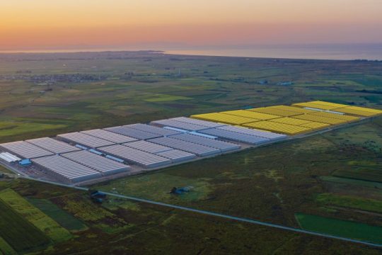 Greenhouses_future