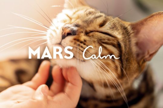 MARS