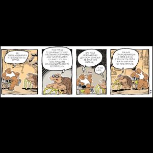 Ενα αρκούδι μετράει τ’άστρα 28.06.2025