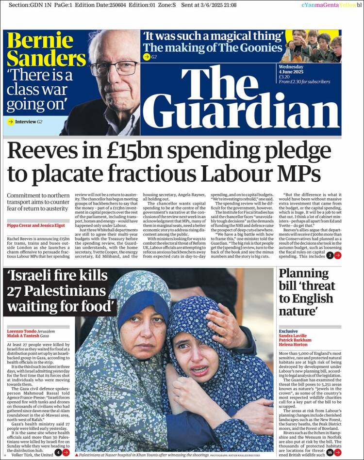 the guardian