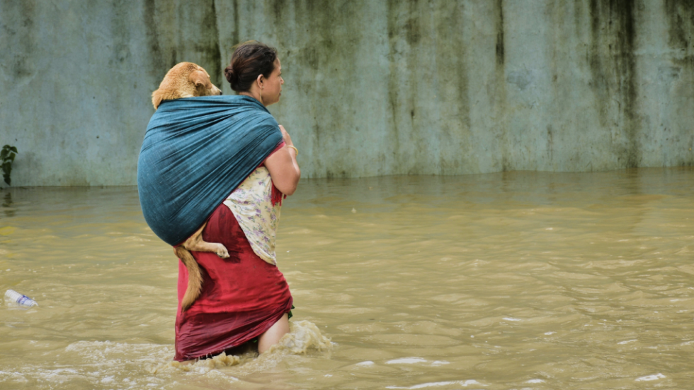 India