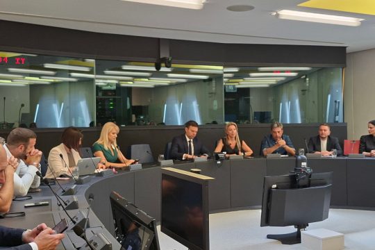 Καρυστιανού Στρασβούργο