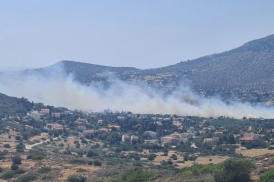 Πυρκαγιά Ανάβυσσος