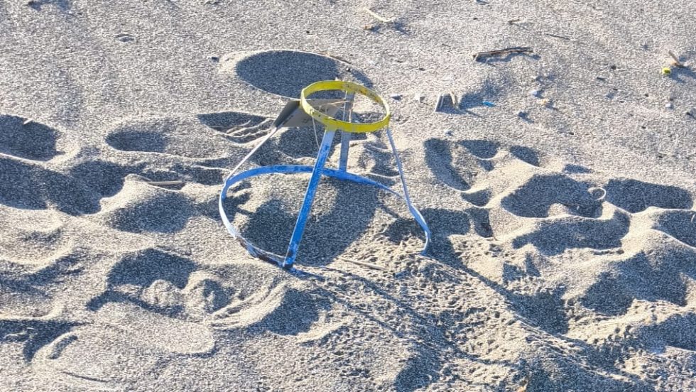 Νεοσσοί Καρέττα
