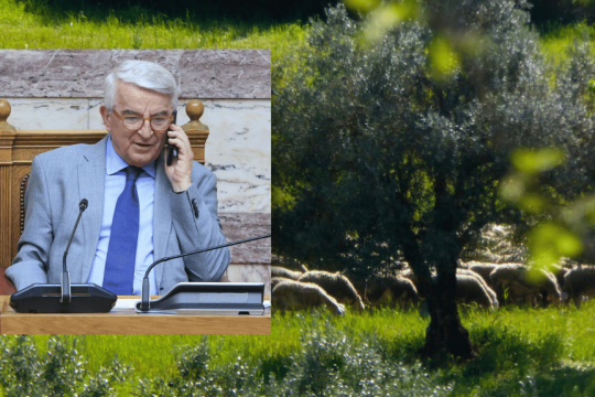 Ο αντιπρόεδρος της Βουλής Αθ. Μπούρας, η κόρη του οποίου υπέβαλε δηλώσεις ΟΣΔΕ δηλώνοντας εκτάσεις που βρίσκονταν πολύ μακριά από τις δραστηριότητες του αγροκτηνοτρόφου συζύγου της