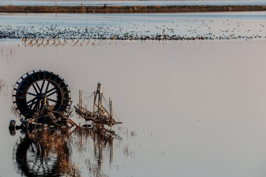 Από τις καταστροφικές πλημμύρες στη  Θεσσαλία το 2023