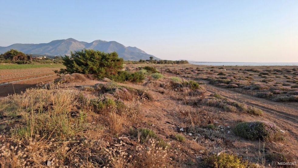 Καταστροφή αμμοθινών στην παραλία Βουνάκι στον Κυπαρισσιακό