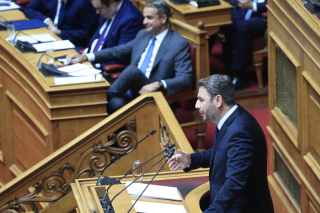 Νϊκος Ανδρουλάκης
