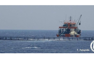 τουρκικά πλοία
