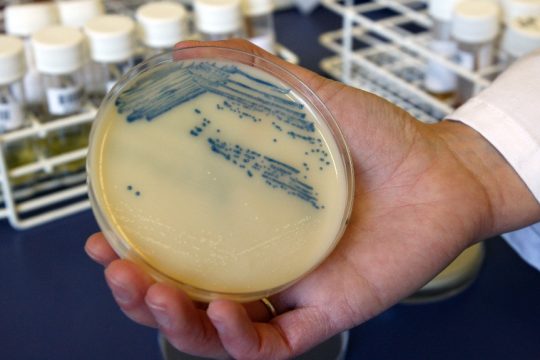 Superbugs_1020