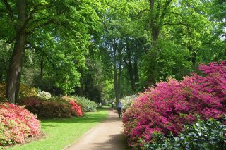 blog_rhododendronpark_75jahre_ikrause_SV100146.jpg.84724