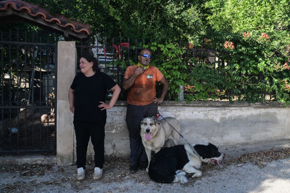 Ραφήνα Πυρκαγιά