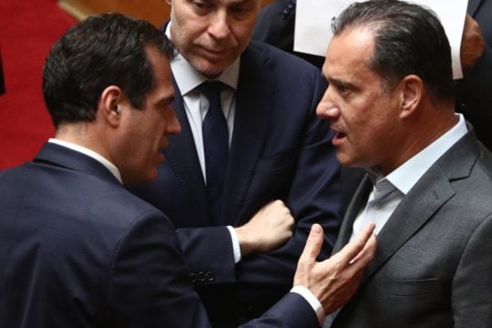 Γεωργιάδης - Πλεύρης