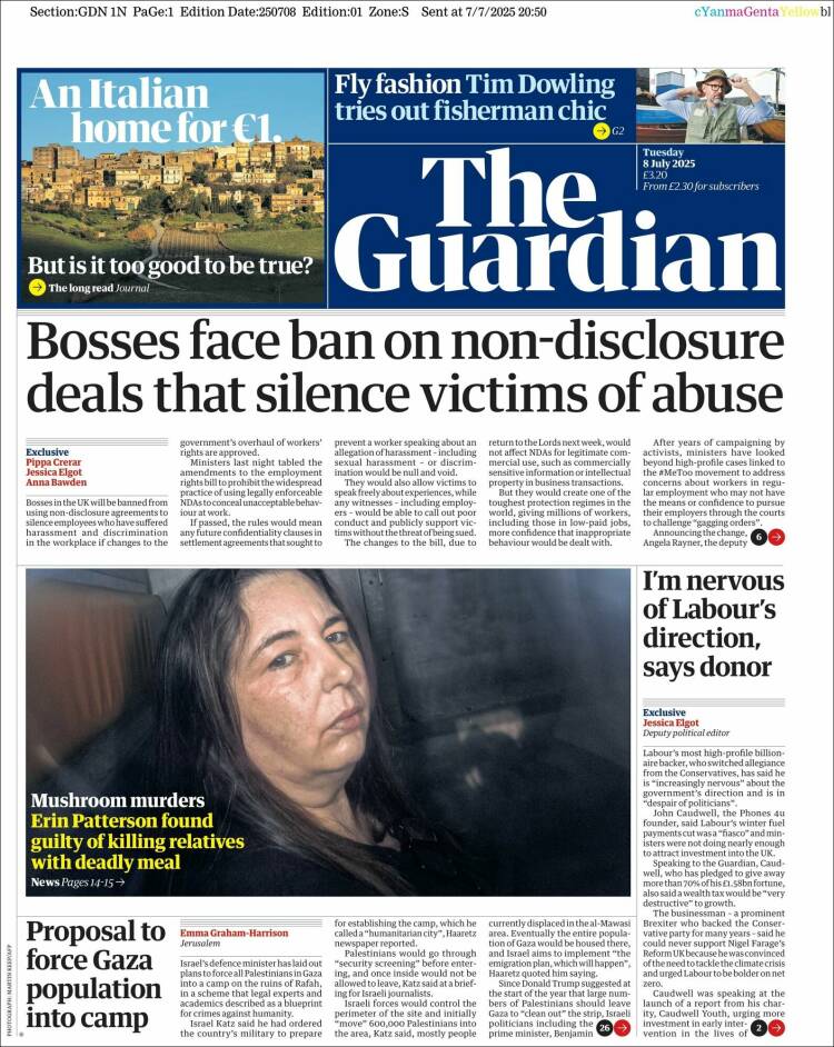 the guardian
