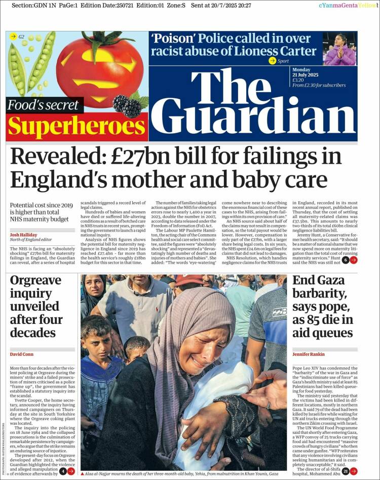 the guardian