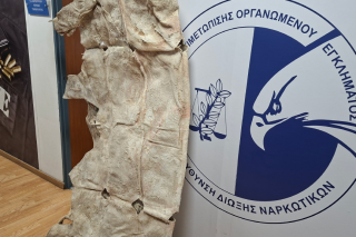 κοκαΐνη σε δέρματα