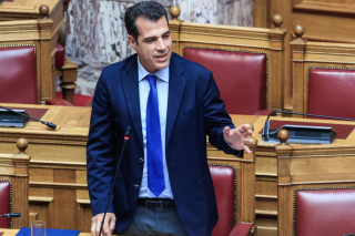 Θάνος Πλεύρης