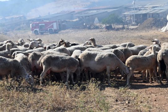 Μήπως πρέπει να ακυρωθούν οι εκλογές του 2023;
