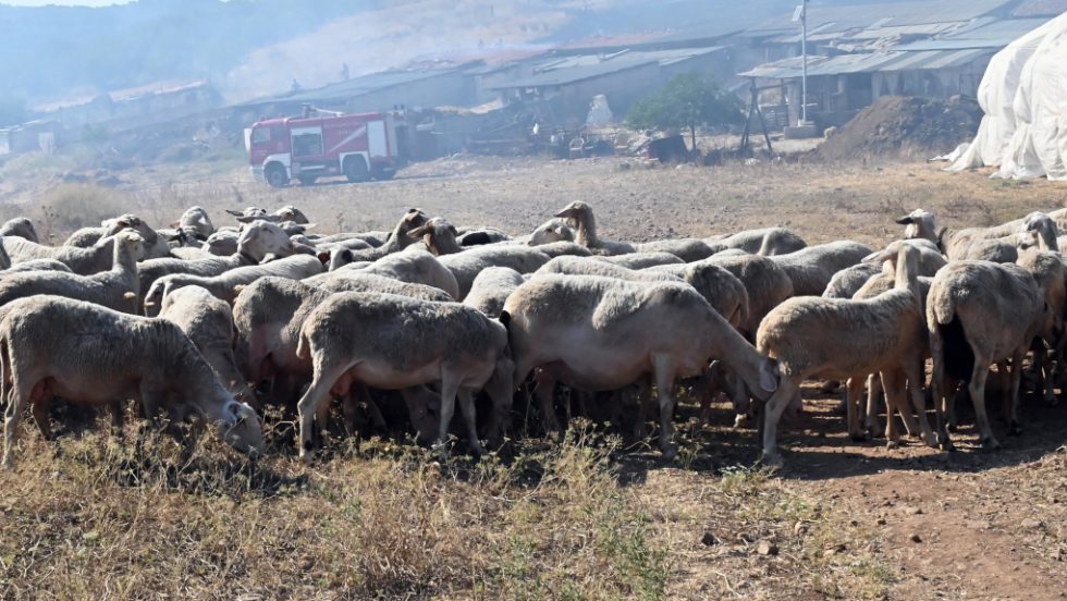 Μήπως πρέπει να ακυρωθούν οι εκλογές του 2023;