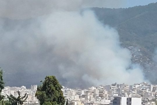 πυρκαγιά ζωγράφου