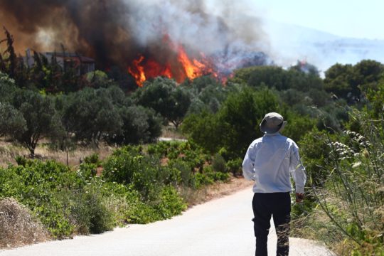 Φωτιά - Ραφήνα