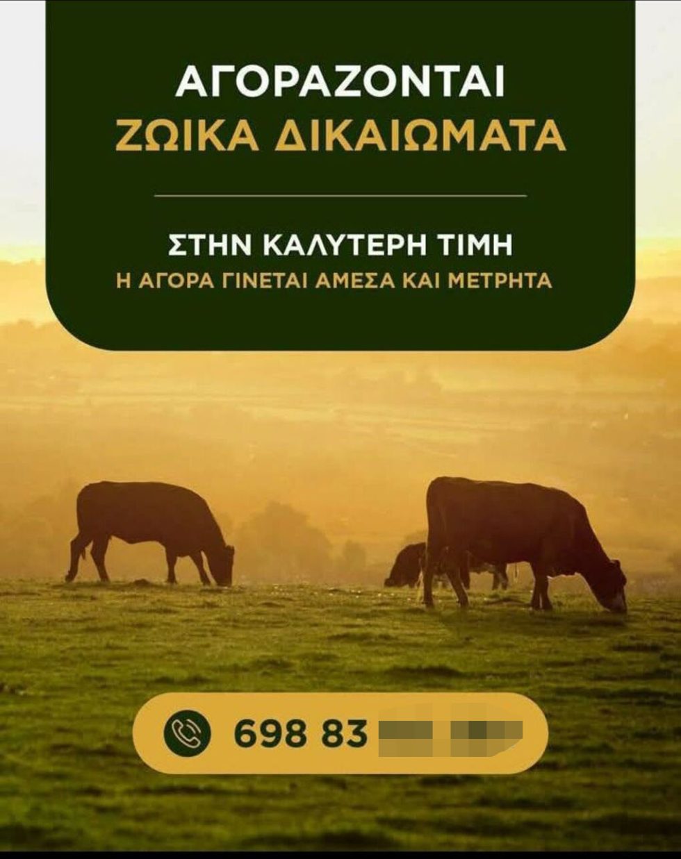 zoika dikaiomata